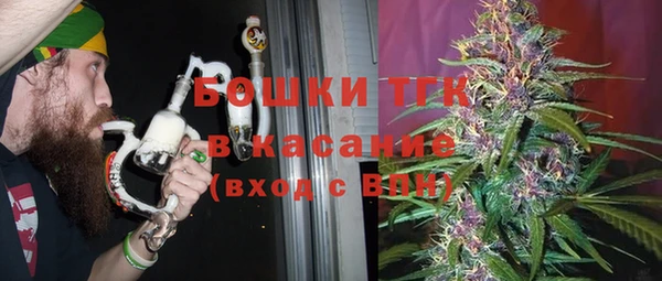сатива Абинск