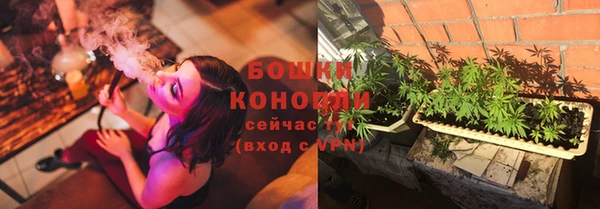 сатива Абинск
