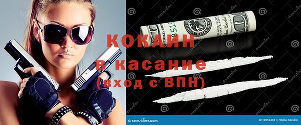 сатива Абинск