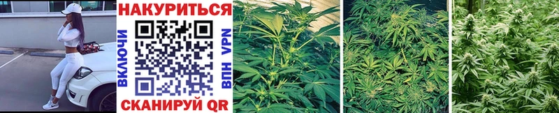 Каннабис Bruce Banner  Норильск 